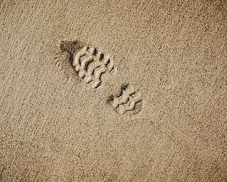 bernard hermant z9AOxTYQBy4 unsplash